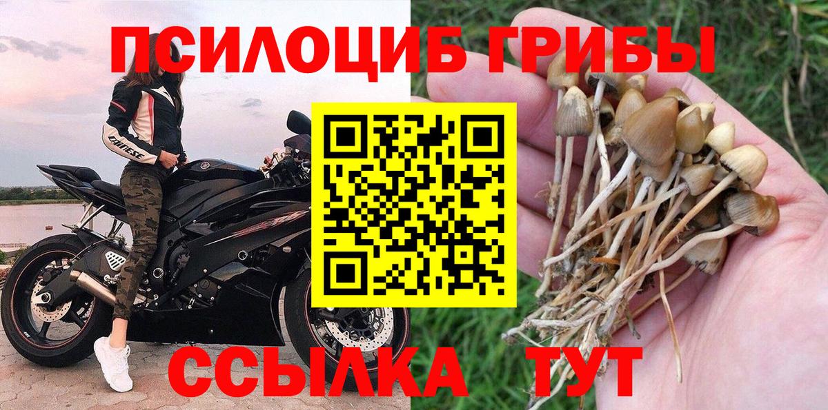 Псилоцибиновые грибы мухоморы Советская Гавань